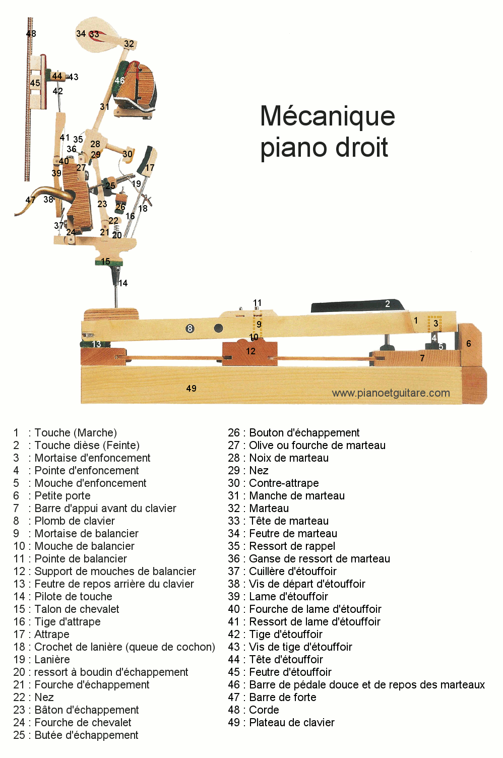 La corde de piano - principe de fonctionnement, montage, matériaux